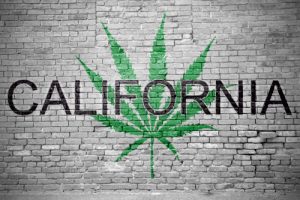 California cultivation license