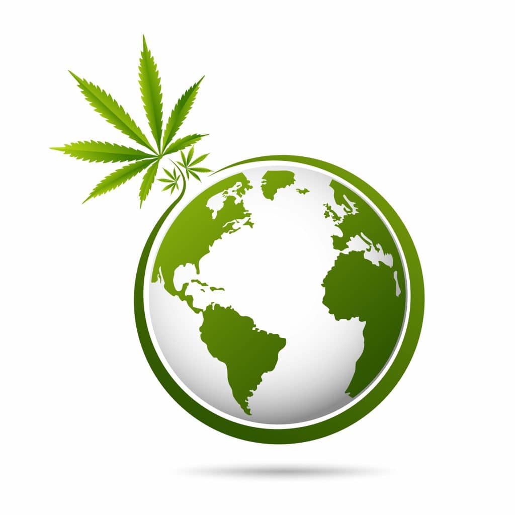 customized cannabis business plan