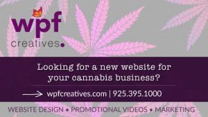 best cannabis website designer