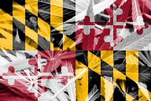 maryland processing license
