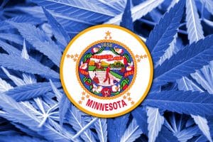 Minnesota Cannabis Application