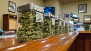 Minnesota Cannabis License