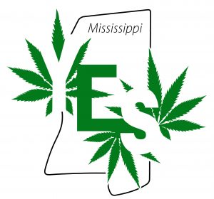 MS cannabis security plan