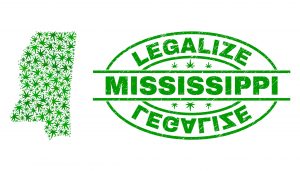 MS Cultivation License