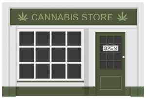 New York cannabis cultivation license
