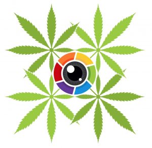 Security Plan for Cannabis Business