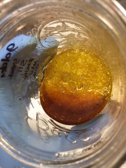 cannabis hydrocarbon extract live resin