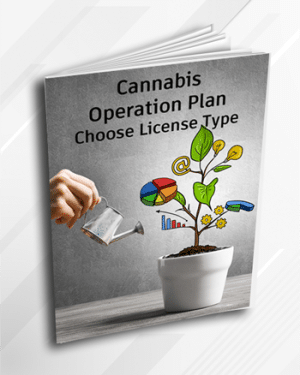 minnesota cannabis operation plan